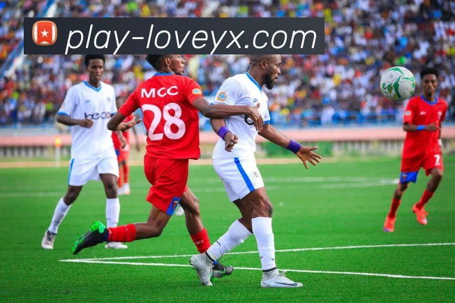 爱游戏平台生态图